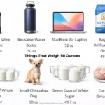 things-that-weigh-50-ounces