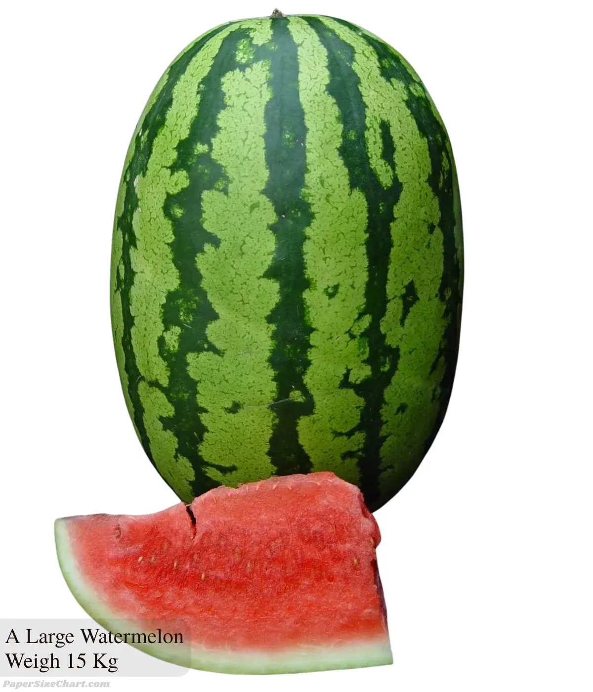 a-large-watermelon-weigh-15-kg