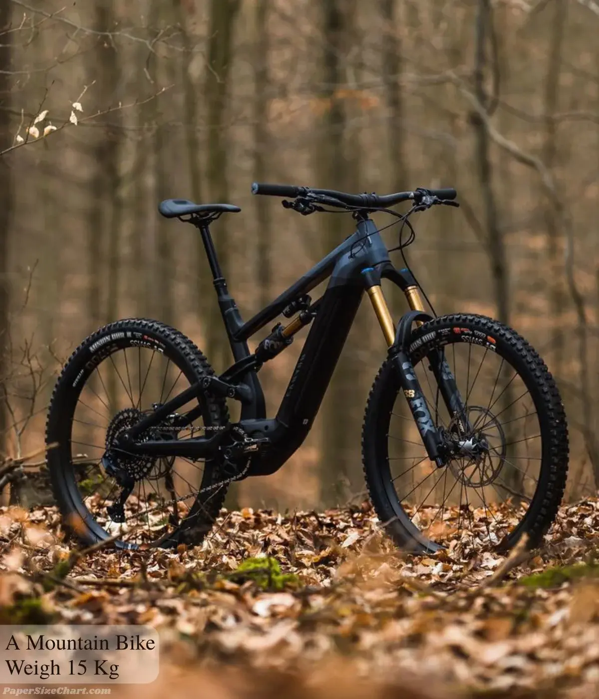 a-mountain-bike-weigh-15-kg