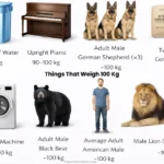 Things That Weigh 100 Kg