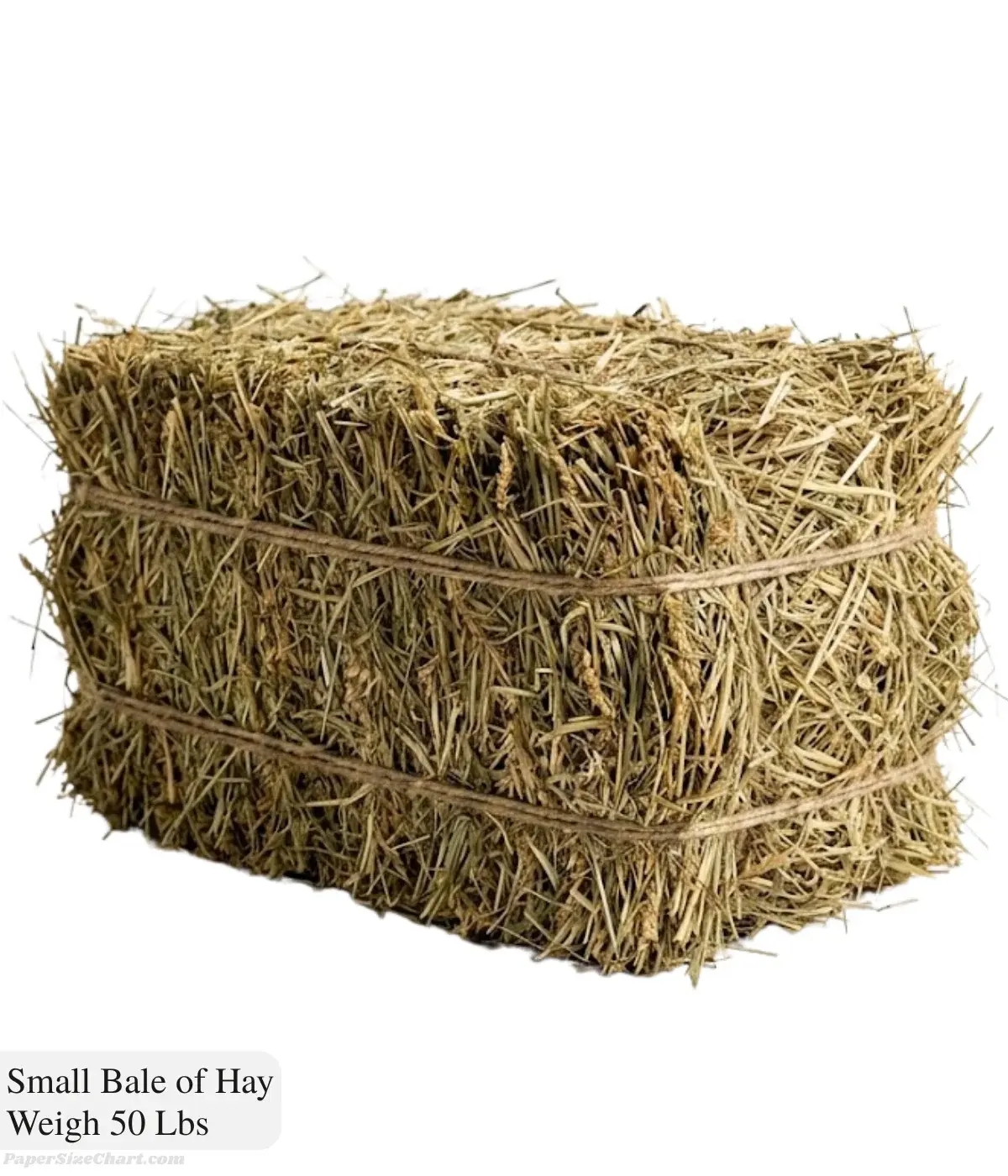 small-bale-of-hay-weigh-50-lbs
