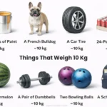things-that-weigh-10-kg