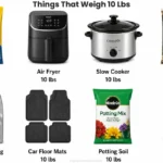 things-that-weigh-10-lbs