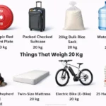 things-that-weigh-20-kg