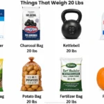 things-that-weigh-20-lbs