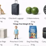 things-that-weigh-25-kg