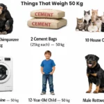 things-that-weigh-50-kg