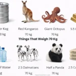 things-that-weigh-70-kg