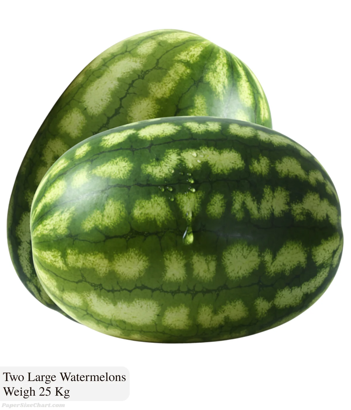 two-large-watermelons-weigh-25-kg