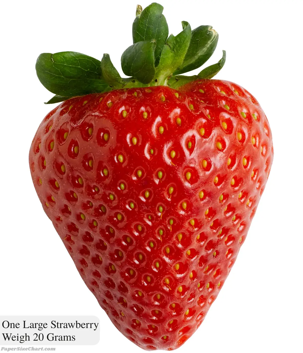 one-large-strawberry-weigh-20-grams