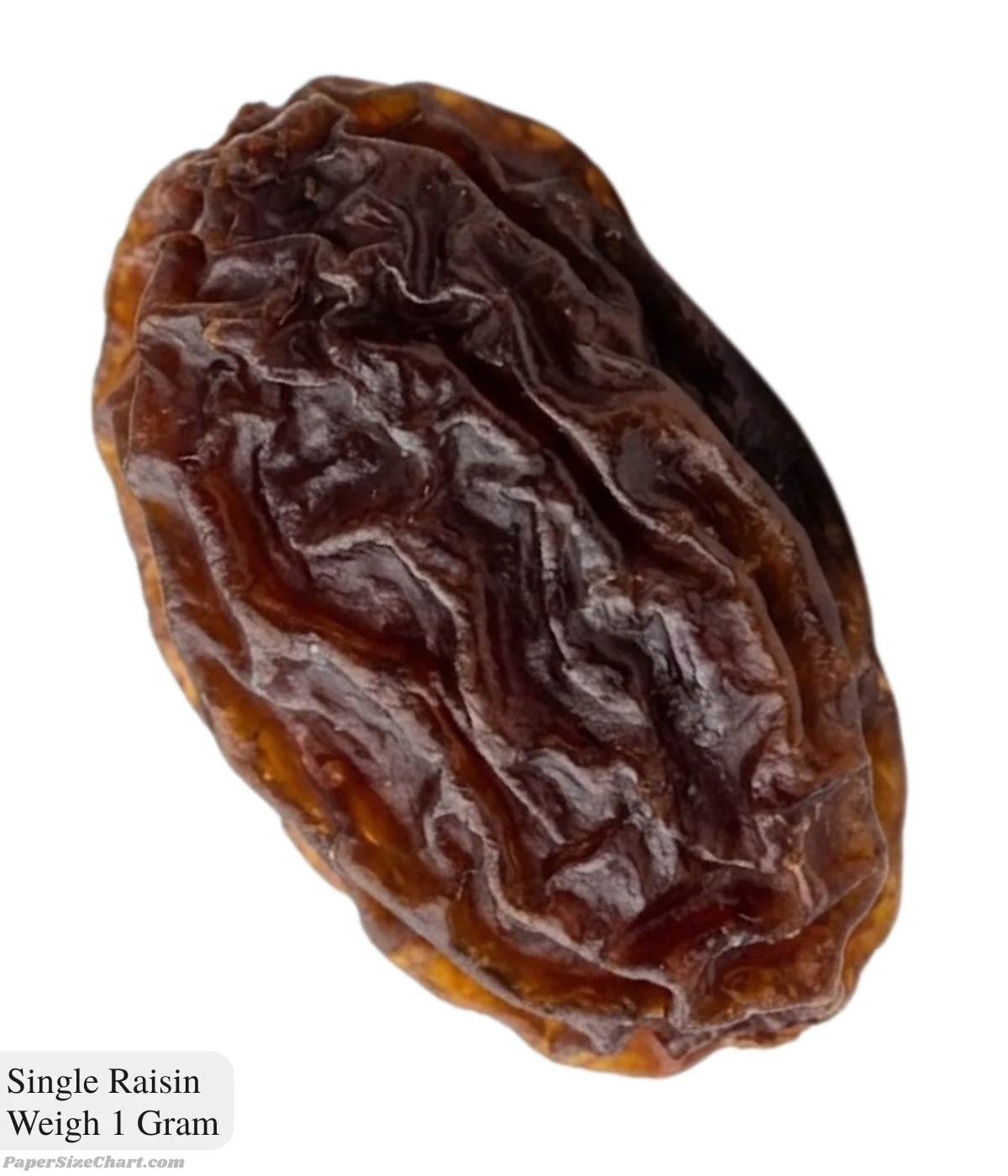 single-raisin-weigh-1-gram