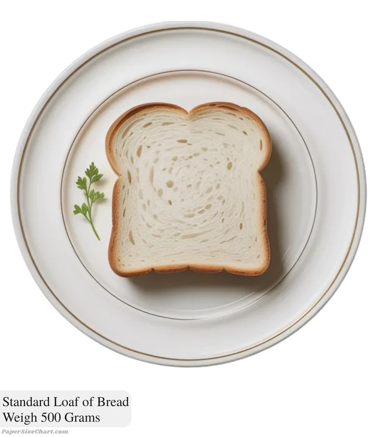 standard-loaf-of-bread-weigh-500-grams