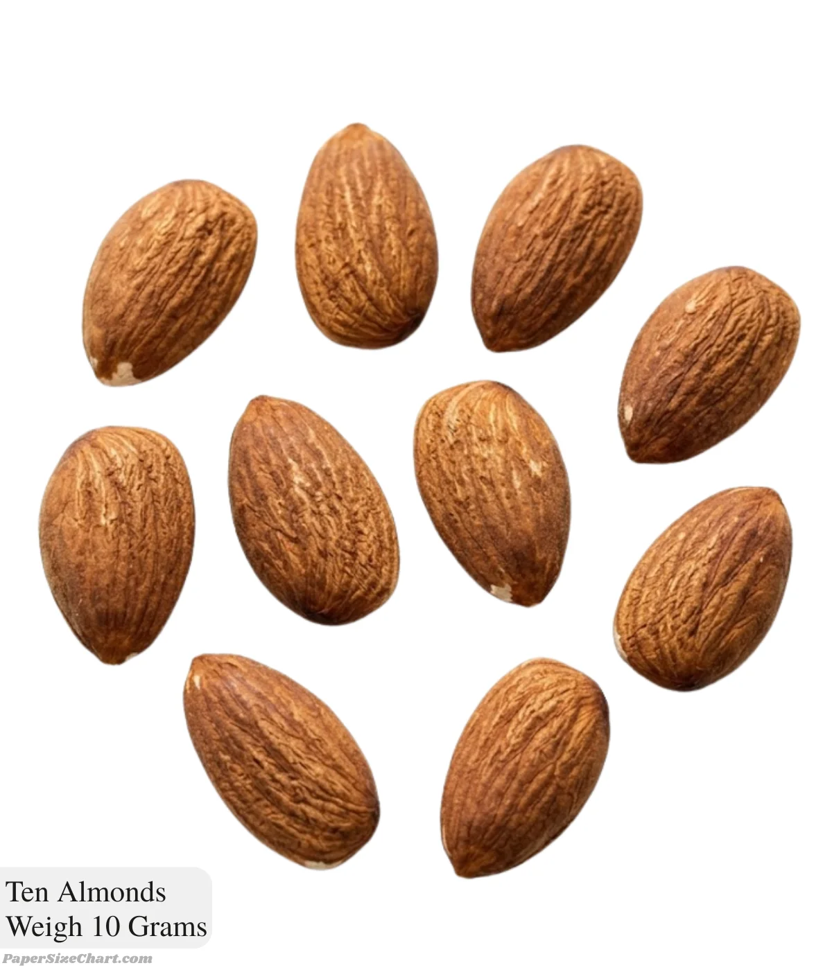 ten-almonds-weigh-10-grams