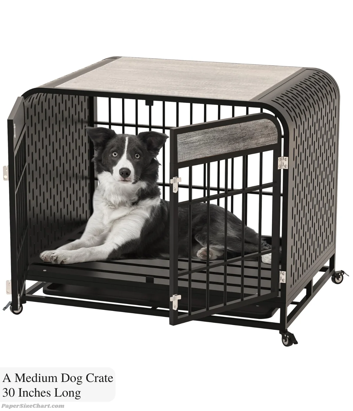 a-medium-dog-crate-30-inches-long