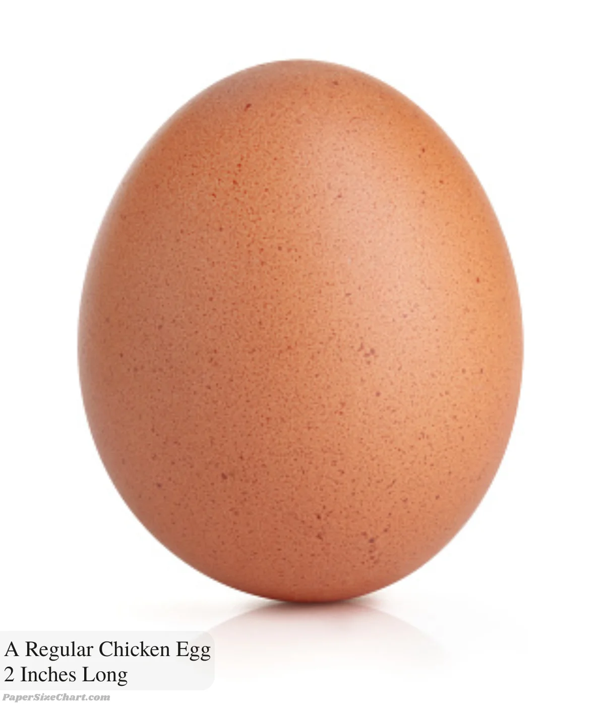 a-regular-chicken-egg-2-inches-long