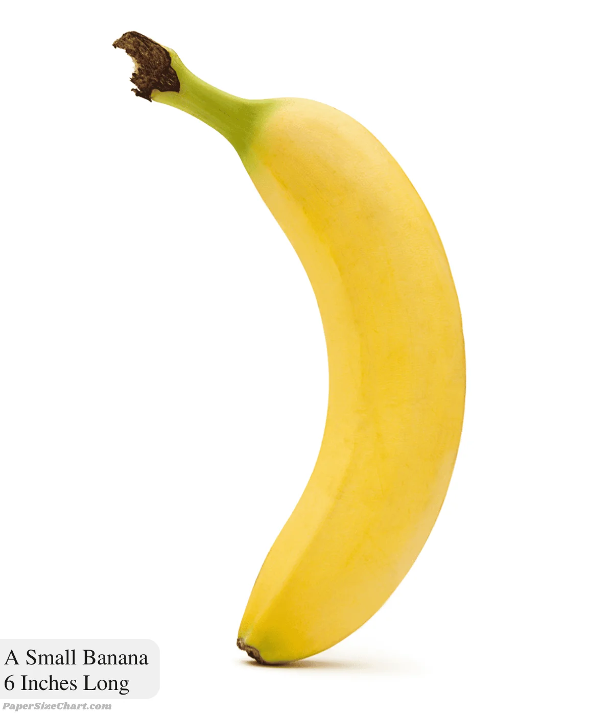 a-small-banana-6-inches-long