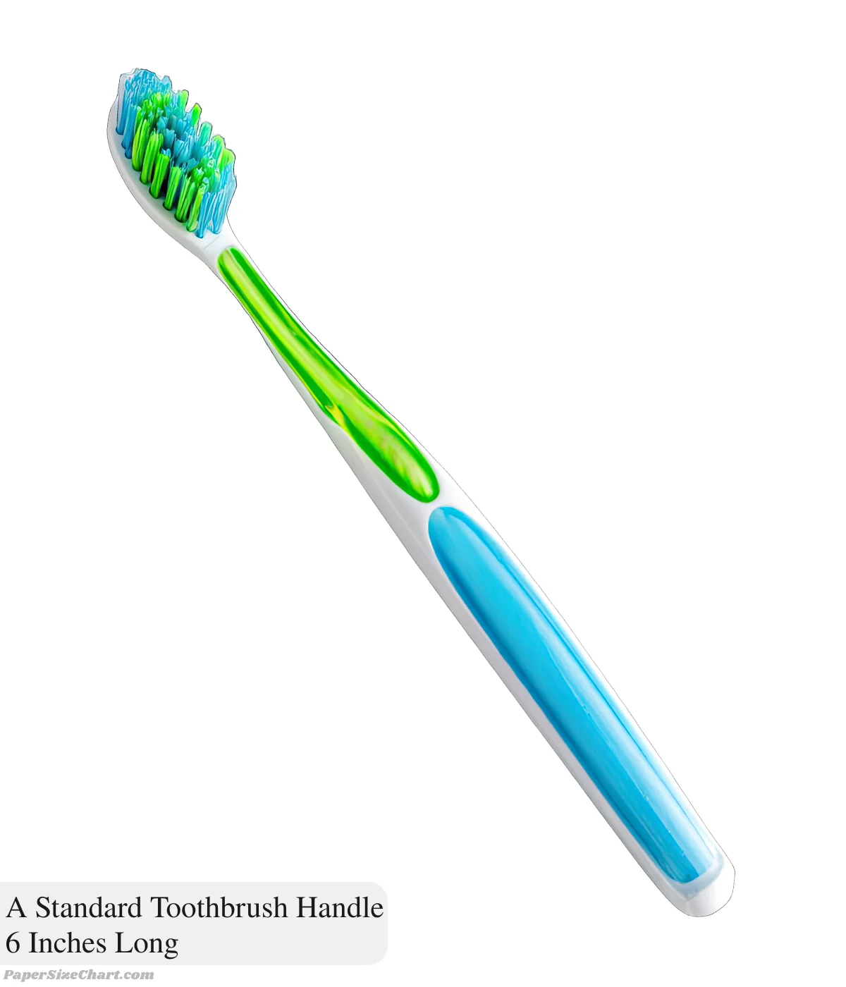 a-standard-toothbrush-handle-6-inches-long