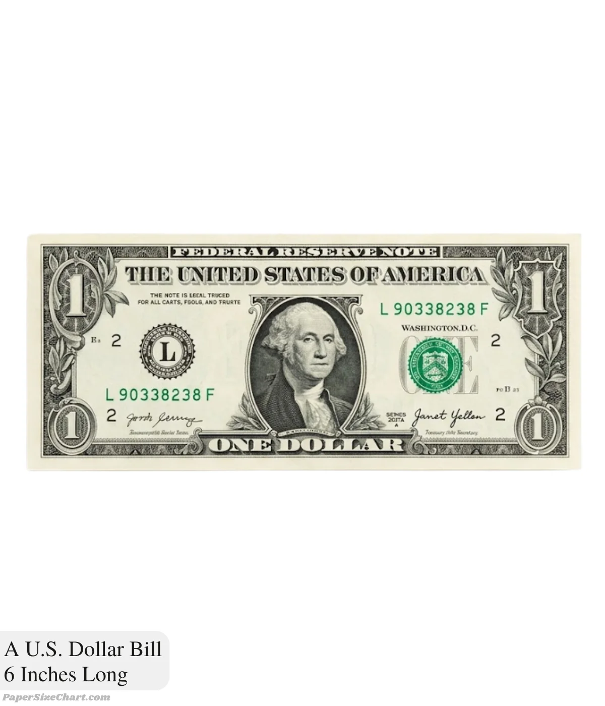 a-us-dollar-bill-6-inches-long