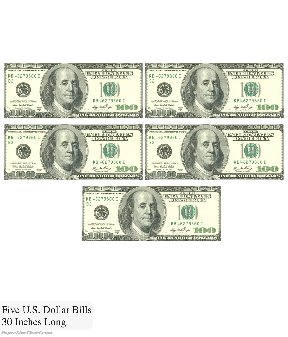 five-us-dollar-bills-30-inches-long