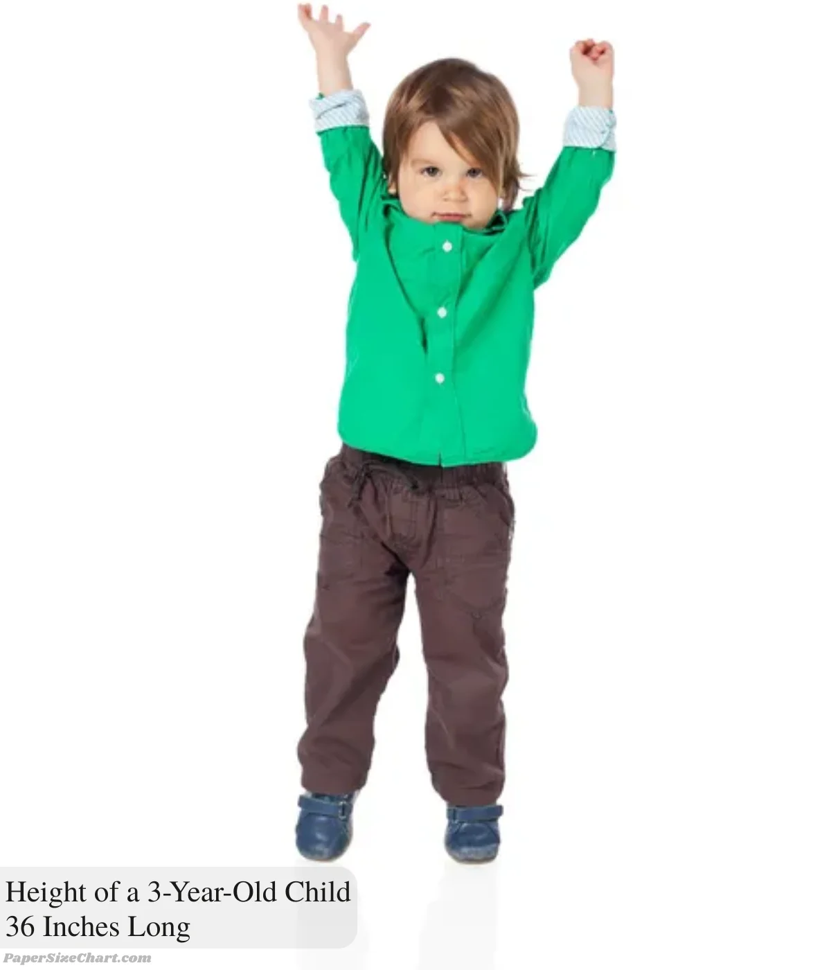 height-of-a-3-year-old-child-36-inches-long