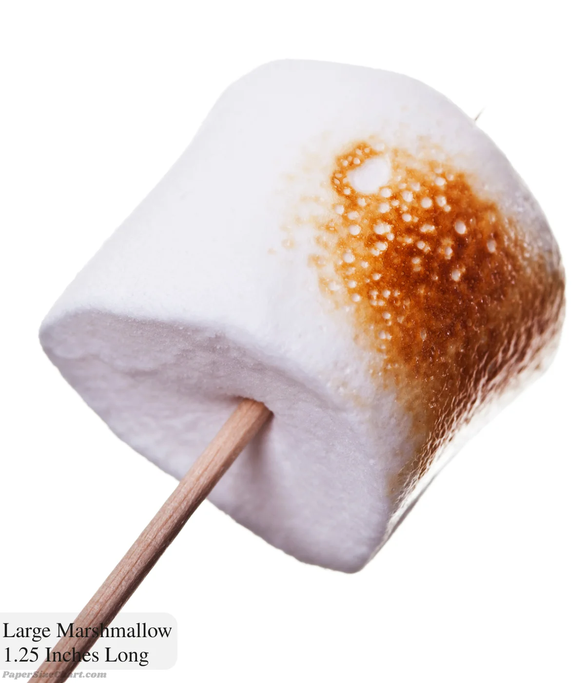large-marshmallow-1-25-inches-long