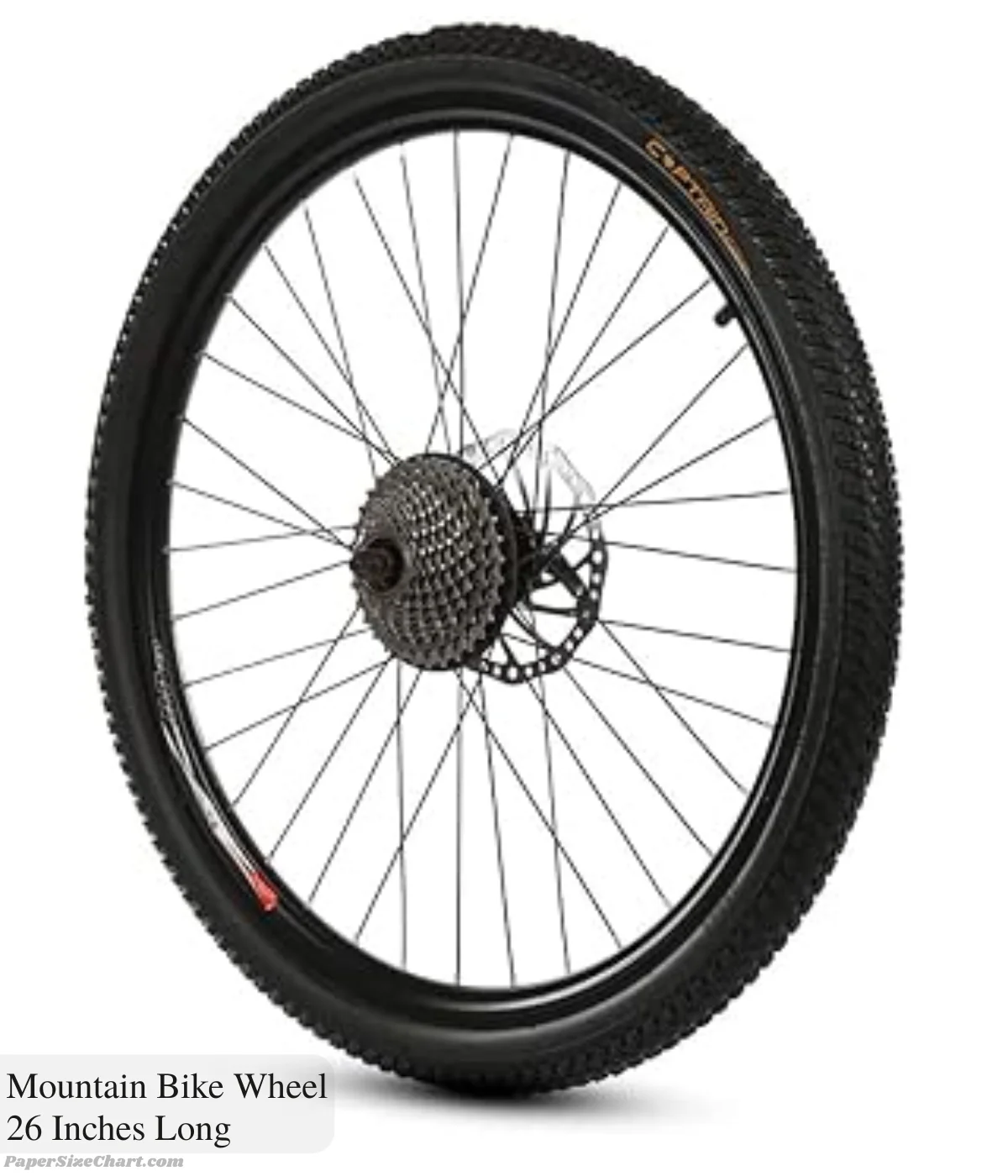 mountain-bike-wheel-26-inches-long