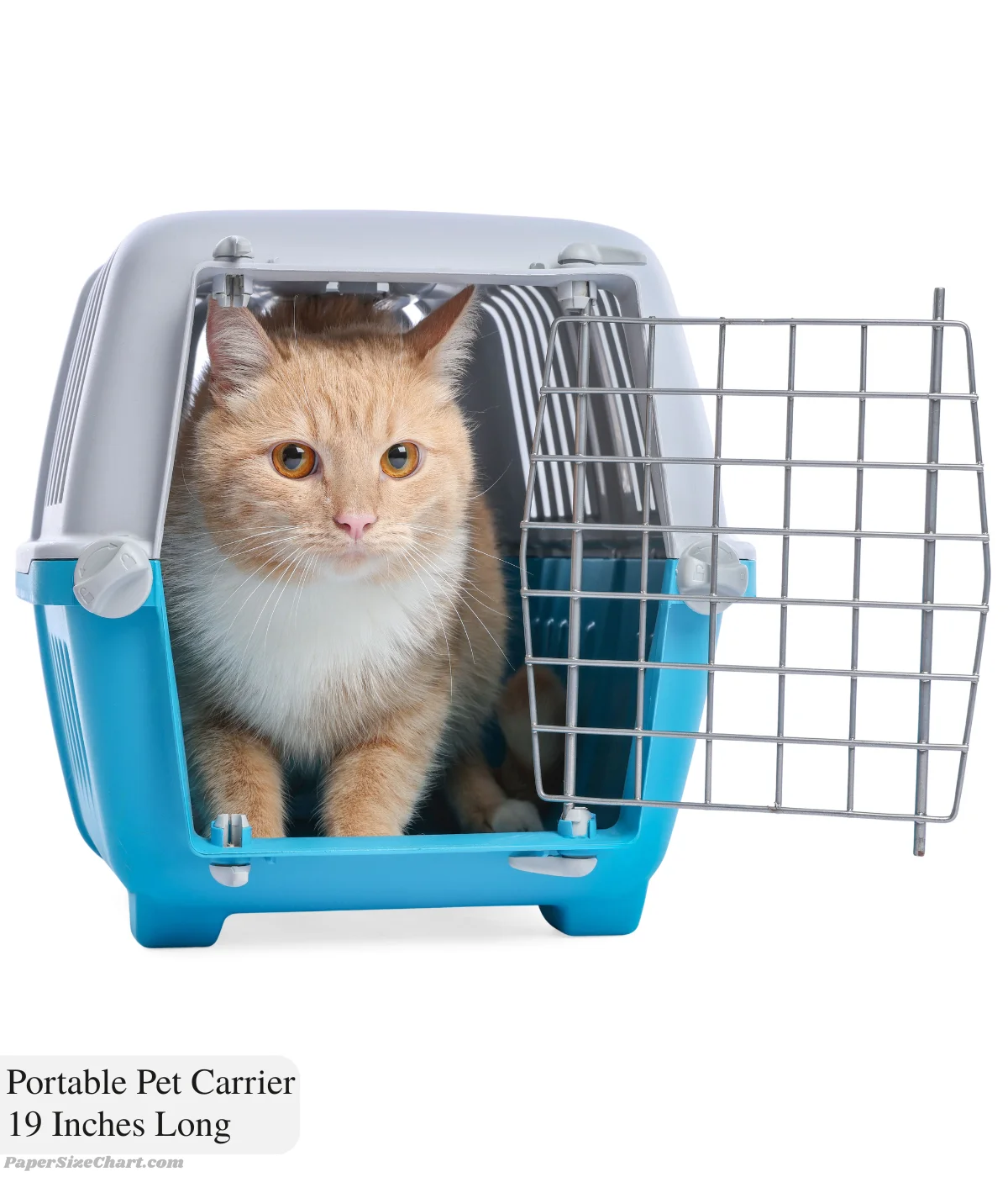 portable-pet-carrier-19-inches-long