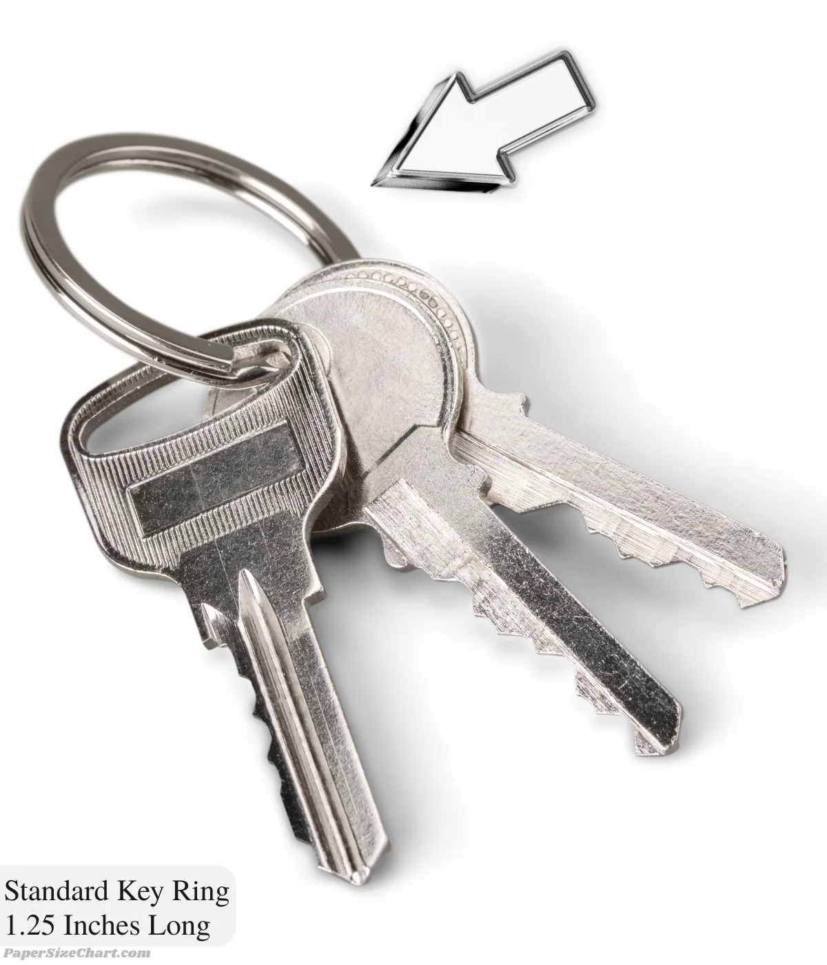 standard-key-ring-1-25-inches-long