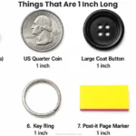 things-that-are-1-inch-long