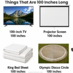 things-that-are-100-inches-long