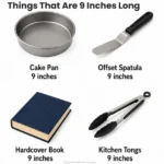 things-that-are-9-inches-long